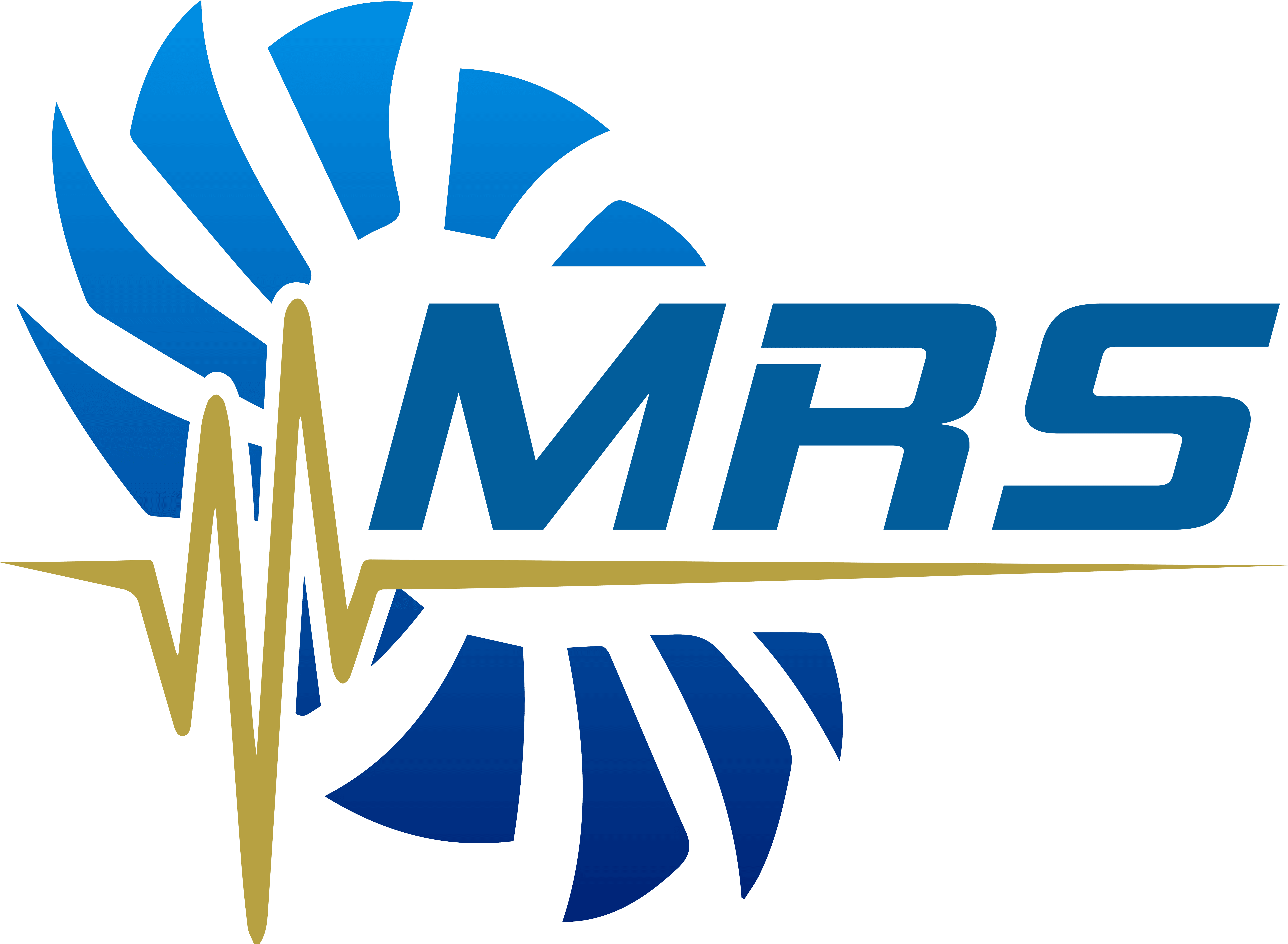 MRS - Machinery Reliability Solutions